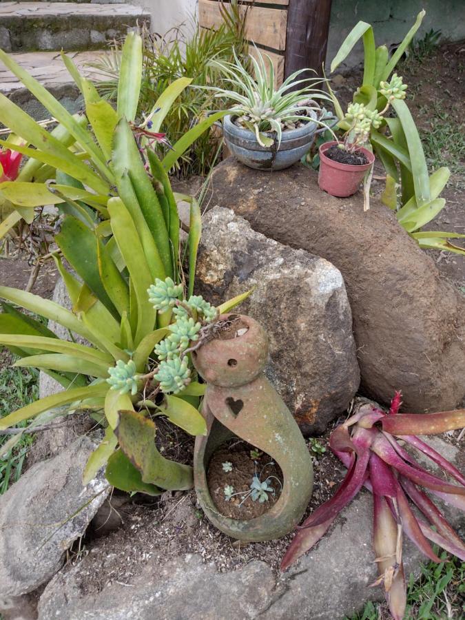 Chale Disco De Arado Villa วิสกอนจิ จิ เมาอา ภายนอก รูปภาพ